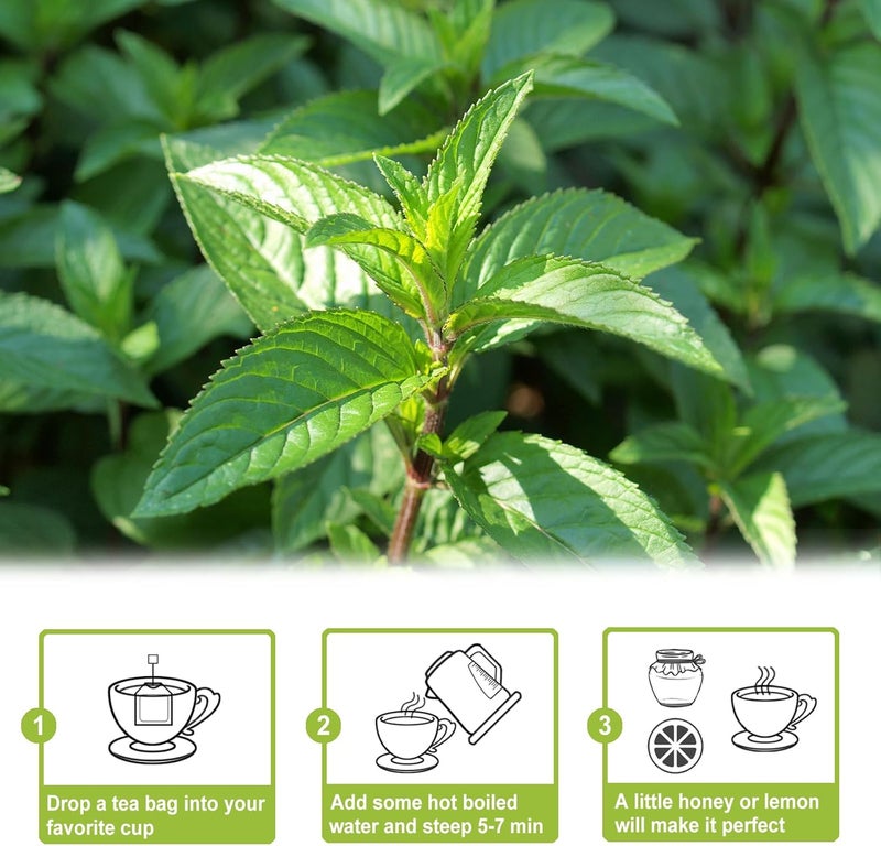 TEARELAE Peppermint Tea Bags - 80 Count - 100% Pure Peppermint Leaves - Non-GMO Herbal Tea for Digestion and Fresh Breath - Image 5